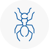 Ant Removals In Sudbury