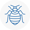 Bed Bug Extermination In Sudbury