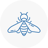 Bee Nest Removal Sudbury