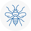 Sudbury Hornet Nest Removals