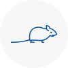 Mice Exterminators In Sudbury