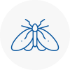 Moth Control Specialists In Sudbury