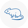 Rat Control Sudbury