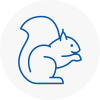 Sudbury Rodent Removals