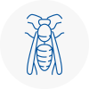 Sudbury Wasp Nest Removal